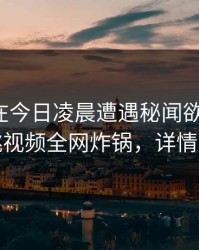 神秘人在今日凌晨遭遇秘闻欲罢不能，樱桃视频全网炸锅，详情速看