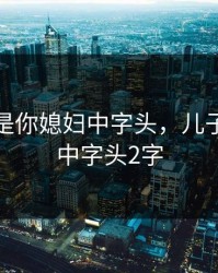 爸爸我是你媳妇中字头，儿子的妻子中字头2字