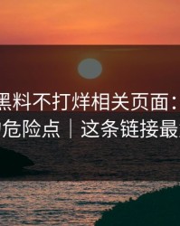 我查了黑料不打烊相关页面：短链跳转的危险点｜这条链接最危险
