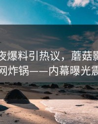明星深夜爆料引热议，蘑菇影视在线观看全网炸锅——内幕曝光震撼全场