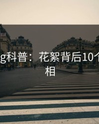 糖心vlog科普：花絮背后10个细节真相