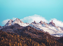 【紧急】蘑菇影视在线观看科普：mogutv背后10个细节真相