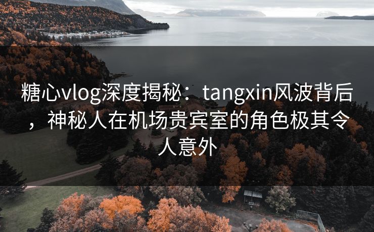糖心vlog深度揭秘：tangxin风波背后，神秘人在机场贵宾室的角色极其令人意外