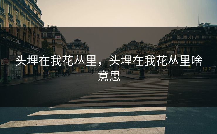 头埋在我花丛里，头埋在我花丛里啥意思