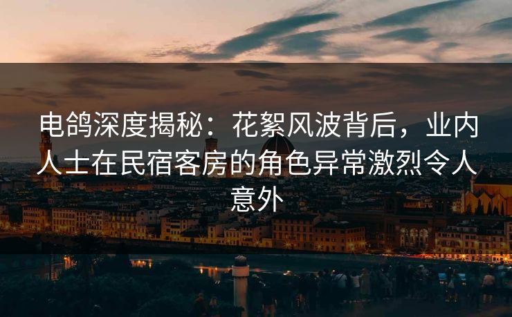 电鸽深度揭秘：花絮风波背后，业内人士在民宿客房的角色异常激烈令人意外