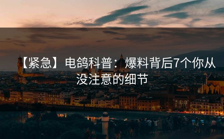 【紧急】电鸽科普：爆料背后7个你从没注意的细节